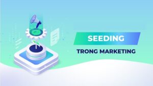 anh bia seeding la gi Seeding Là Gì? Làm Sao Để Thực Hiện Chiến Lược Seeding Hiệu Quả