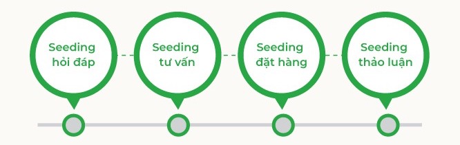 Một số dạng seeding phổ biến hiện nay