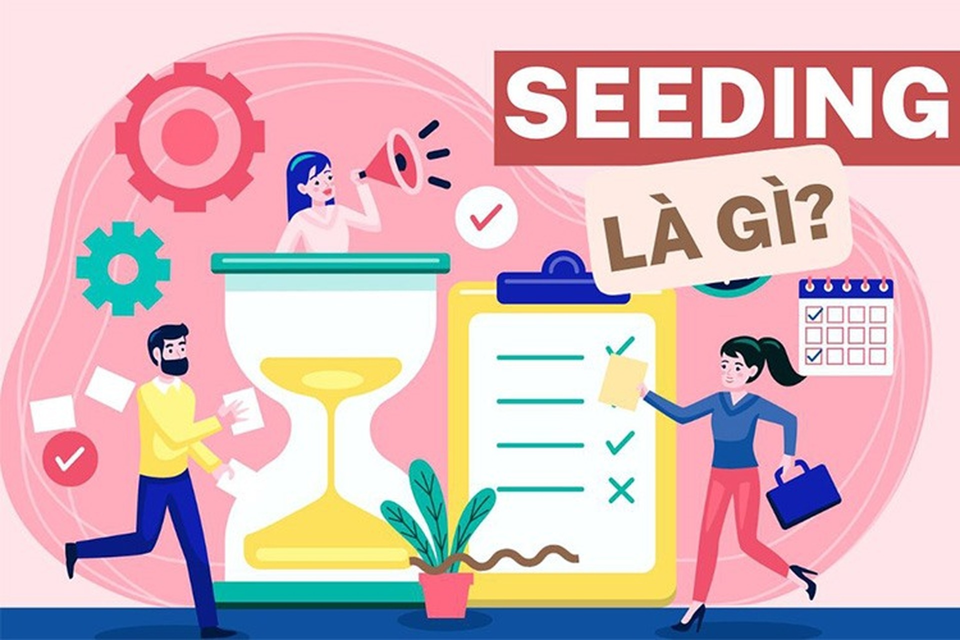 Seeding là gì?